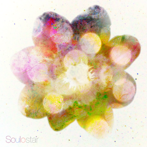 欧美自慰che精猛男
