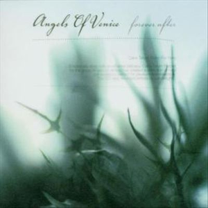 欧美自慰che精猛男
